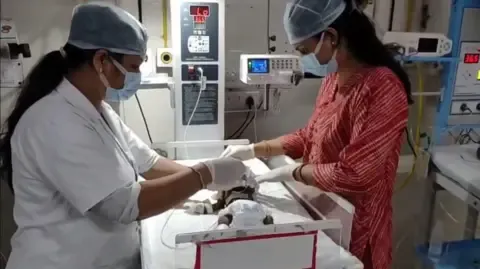 Infant Placed Alive in India Battles for Survival