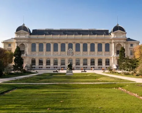 Historic Gold Pieces Snatched in Bold Robbery at France's National Museum